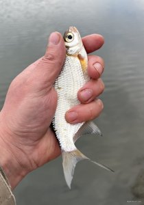 IMG_0245.jpeg