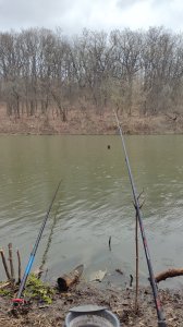 IMG_20250330_151108.jpg