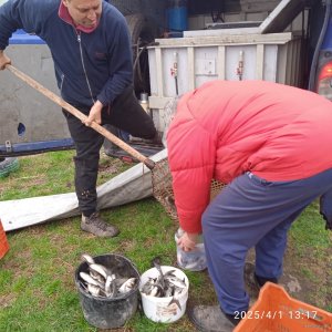 IMG_20250401_131705_1.jpg