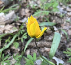 IMG_0355.jpeg