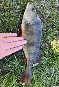 IMG_0377.jpeg