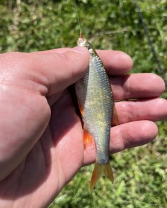 IMG_0378.jpeg