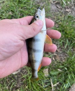 IMG_0385.jpeg