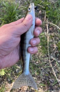 IMG_0386.jpeg