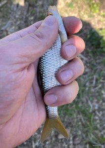 IMG_0394.jpeg