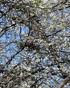IMG_0390.jpeg