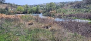 20250422_123718.jpg
