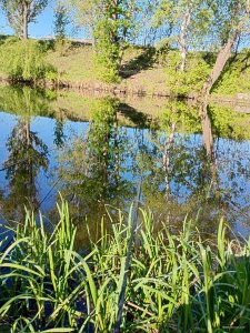 IMG_20250503_082821101_HDR.jpg