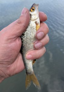 IMG_0456.jpeg