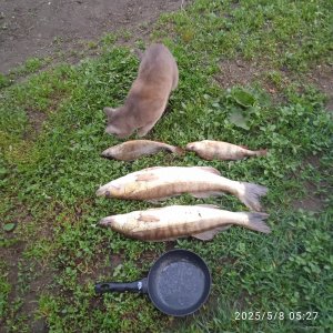 IMG_20250508_052734.jpg