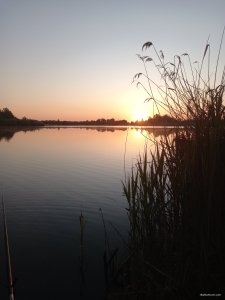 20250515_050310.jpg