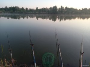 20250515_050316.jpg
