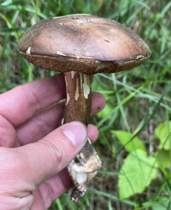 IMG_0590.jpeg
