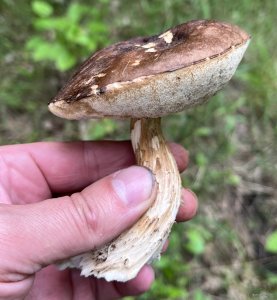 IMG_0592.jpeg
