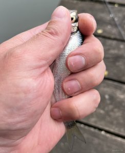 IMG_0569.jpeg