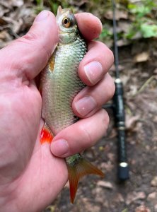 IMG_20250520_174148_321.jpg