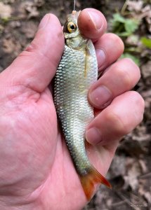 IMG_20250520_174141_580.jpg