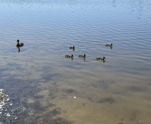 IMG_0626.jpeg