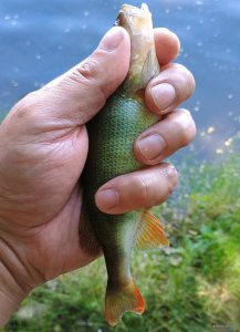 IMG_20250524_124334119 (1).jpg