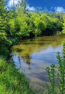 IMG_20250525_061829.jpg