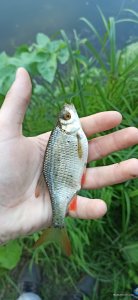 IMG_20250525_173039.jpg