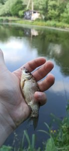 IMG_20250525_173546.jpg