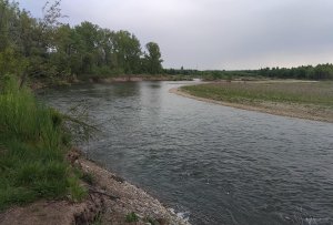 IMG_20250503_122149.jpg