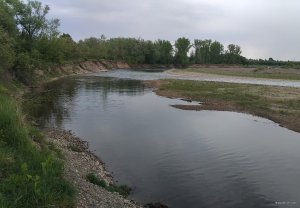 IMG_20250503_121750.jpg