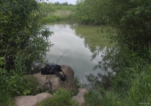 IMG_20250525_173950.jpg