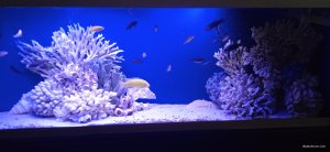 IMG_20250527_200146.jpg