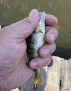 IMG_0669.jpeg
