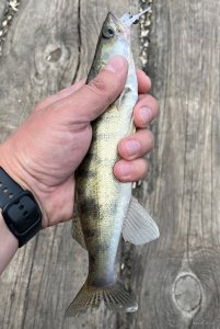 IMG_0673.jpeg
