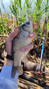 IMG_20250601_091851.jpg