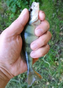 IMG_20250525_102233593 (1).jpg