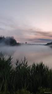 IMG_20250603_041634.jpg