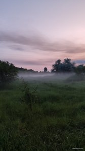IMG_20250603_041416.jpg
