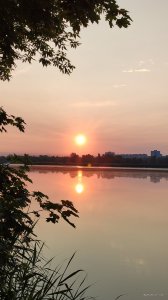 IMG_20250603_045851.jpg