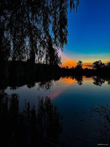 зображення_viber_2025-06-09_22-40-36-075.jpg
