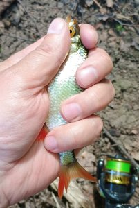 IMG_20250624_113345035 (1).jpg