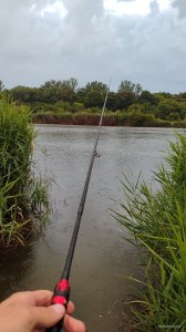 IMG_20250617_201621.jpg