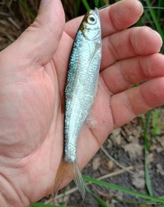 IMG_20250628_112318988_HDR (1).jpg