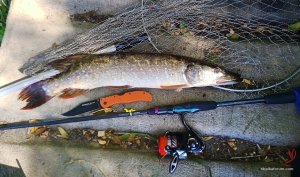 pike060725.jpg