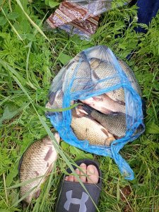 IMG_20250711_084718159_MFNR.jpg