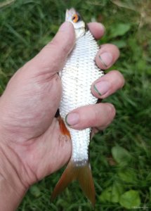 IMG_20250817_192430.jpg