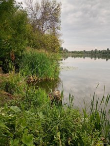IMG_20250823_081801824_HDR.jpg