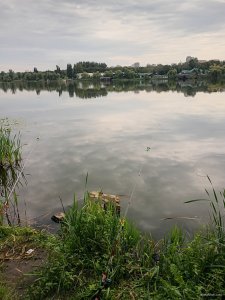 IMG_20250823_081751834_HDR.jpg