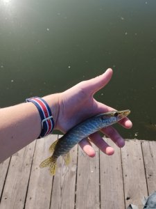 IMG_20250814_080354.jpg