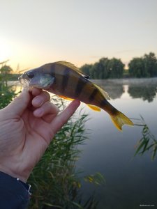 IMG_20250814_053339.jpg