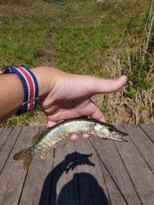 IMG_20250813_101305.jpg