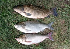 IMG_20250823_185432_537.jpg